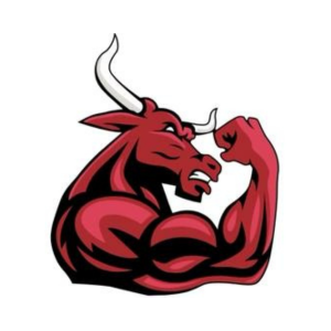 bull-logo_eWFqV069DRVWTxjNj3GAi2ajLsyLQYaX